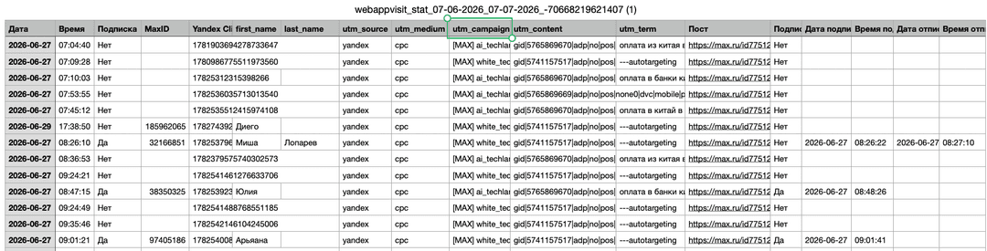 Выгрузка переходов с лендинг вебапп (МАХ)