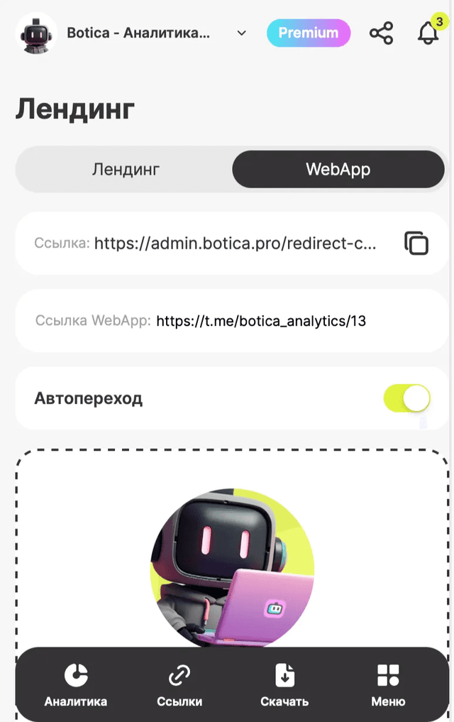 Информация о WebApp